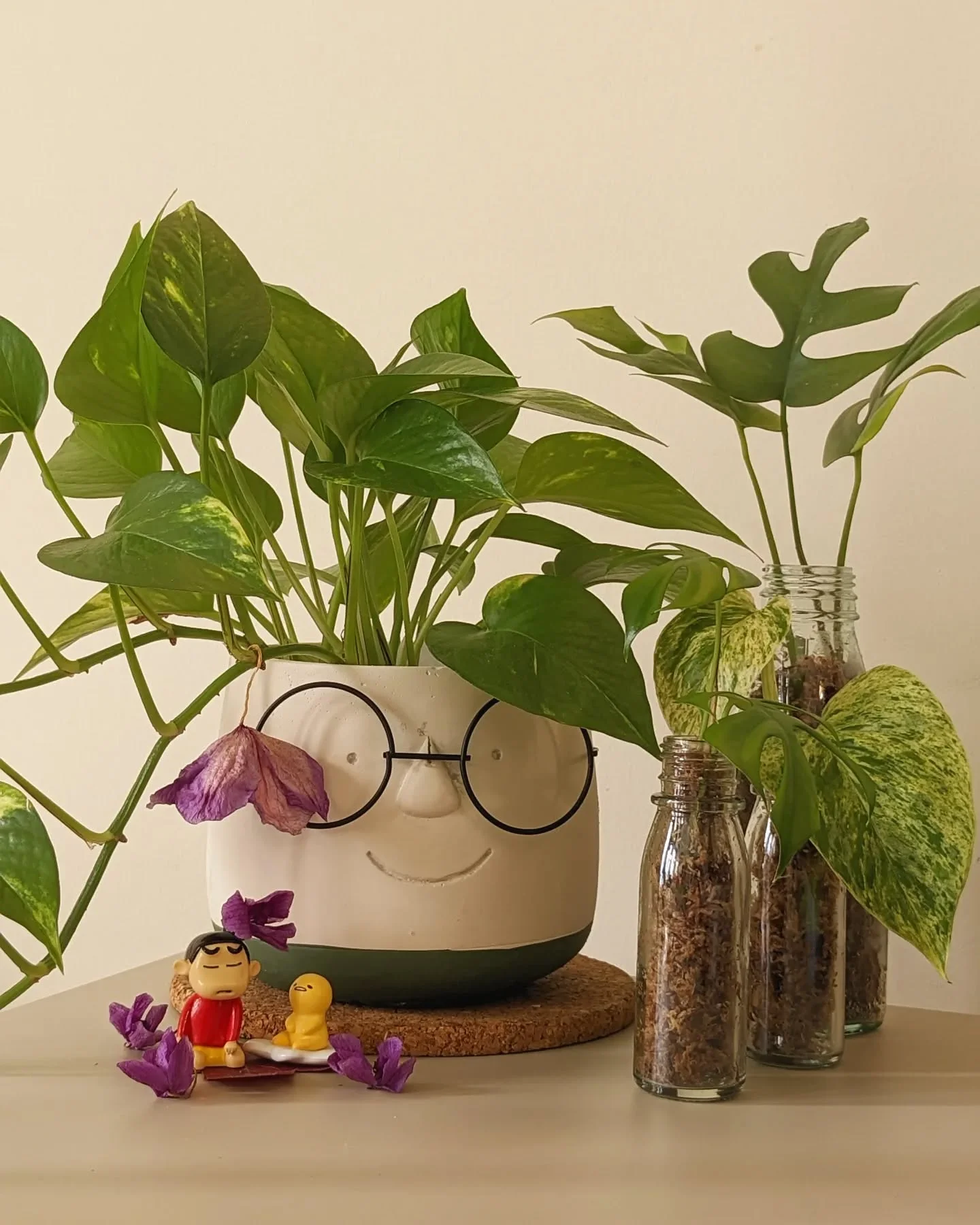 Plant Mom 1